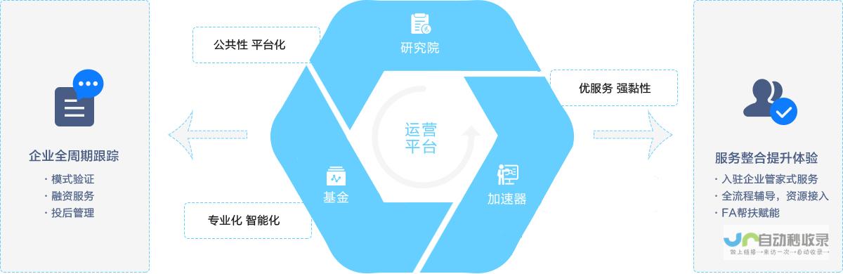 高效转化与持续增长的战略
