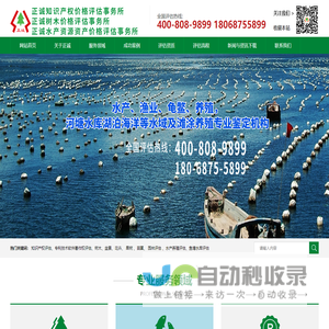 树木评估-水产养殖评估-专利技术-软件著作权-知识产权-正诚价格评估